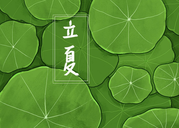 攝圖網(wǎng)_400148125_banner_立夏荷葉插畫（企業(yè)商用）.jpg